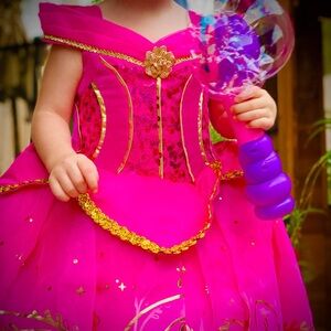 Disneyland Aurora dress